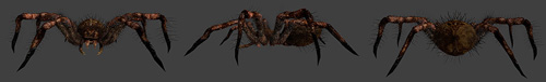 skin_spider.jpg